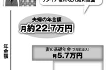 年上妻を持つ夫 3つのパターンで見る「年金を増やすポイント」