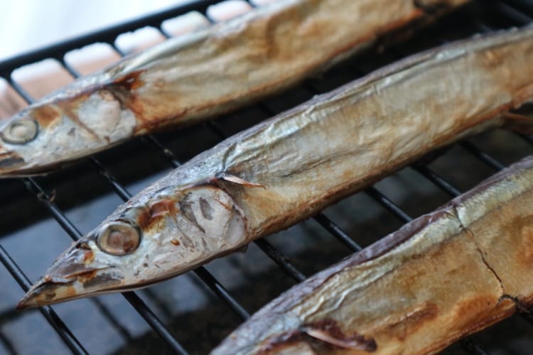 魚焼きグリルを活用した調理術＆レシピを紹介