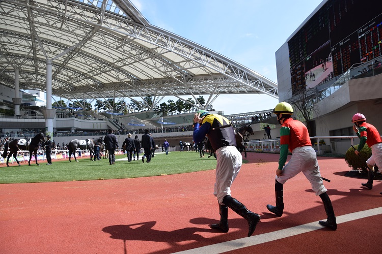 阪神競馬場のパドック