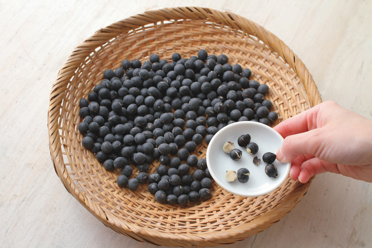 虫食いや割れたものがないがチェック