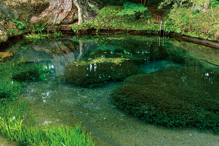 底まで透き通る天然池で精神統一（写真／AFLO）