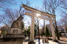大國魂神社(写真/アフロ)