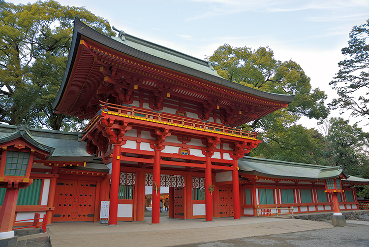 埼玉大宮・武蔵一宮 氷川神社(写真/アフロ)