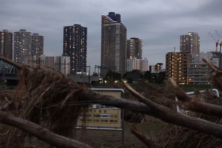 昨年、台風19号で冠水被害に遭った川崎市・武蔵小杉のタワマンエリア（時事通信フォト）