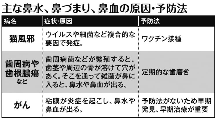 鼻水や鼻づまり、鼻血の原因は？