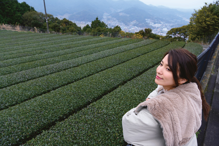 絶景と茶畑が楽しめる