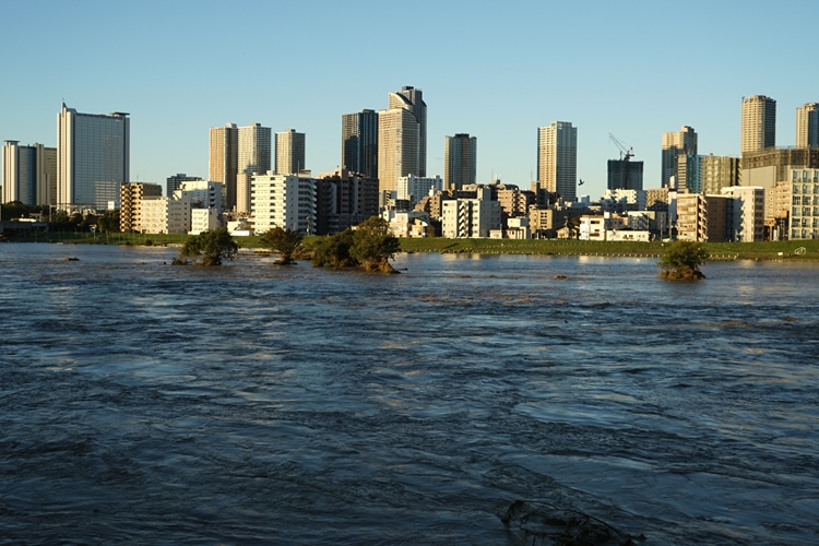 2019年の大型台風で浸水被害に遭った武蔵小杉のタワマン群（時事通信フォト）