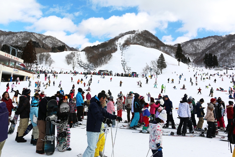 近年は外国人観光客が多い日本のスキー場（写真提供／奥伊吹観光株式会社）