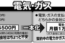 電気・ガス料金の見直し どちらかに一本化で年間8000円の節約も