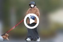 【動画】桐谷美玲　妊娠発表前日に愛犬とスニーカー散歩写真4枚