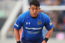 ラグビー芸人が厳選 トップリーグの注目5選手、未来の代表も