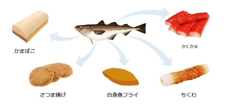 スケソウダラは身近な食材だ