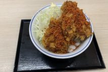 なんだこれは? かつや期間限定『コーンフレークカツ丼』の衝撃