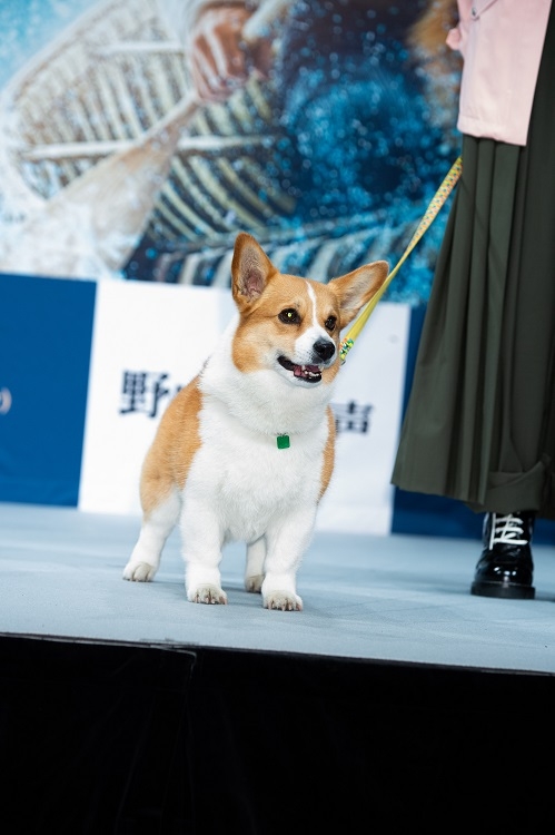 IMALUの愛犬