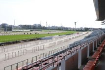 無観客で開催された中山競馬（2020年3月1日）