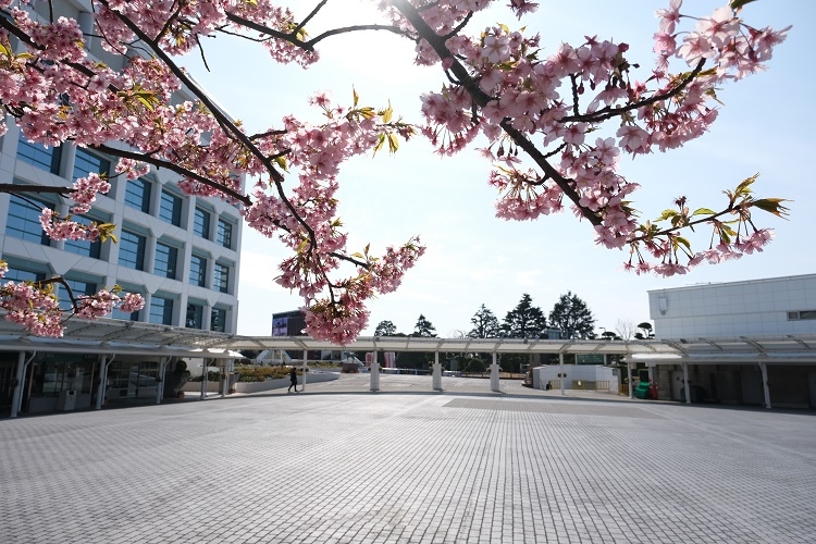 中山競馬場（2020年3月1日）