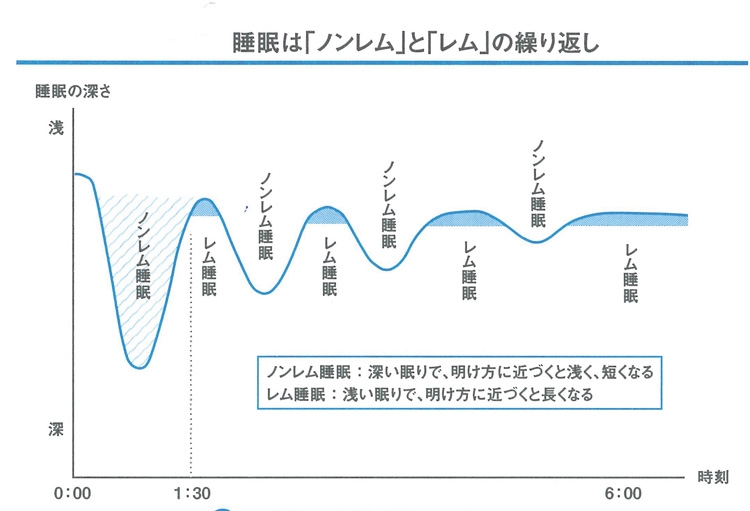 睡眠は「ノンレム」と「レム」の繰り返し（『スタンフォード式　最高の睡眠』より）