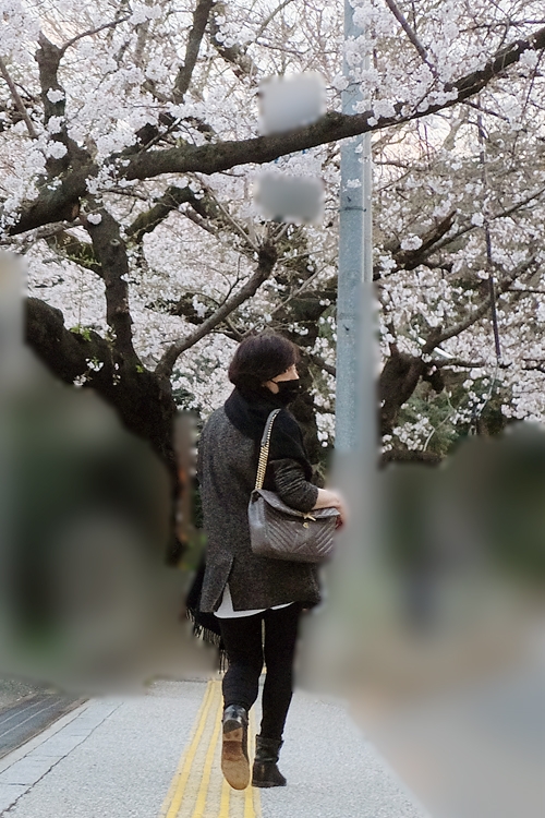 桜の季節、幼い子供は連れずに外出する滝クリ（2020年3月）