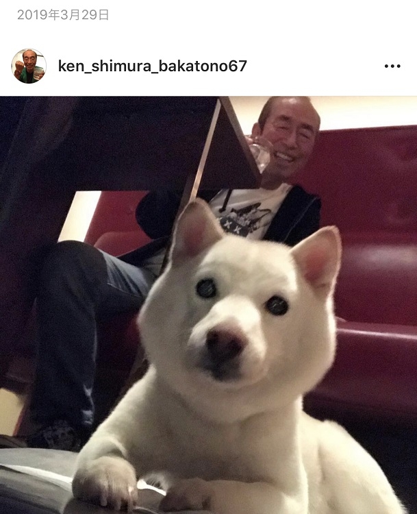 志村さんが自身のインスタグラムにアップした、愛犬の「殿」