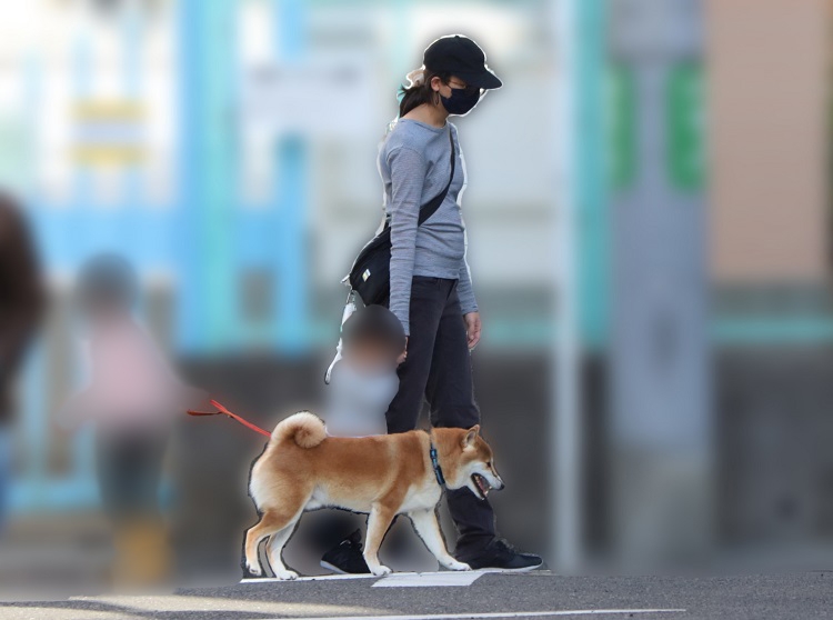 子供たちと犬の散歩にお出かけする杏