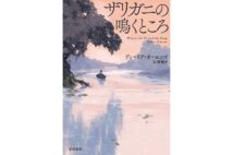 【鴻巣友季子氏書評】舞台は米 社会階層の皮肉なねじれを描く