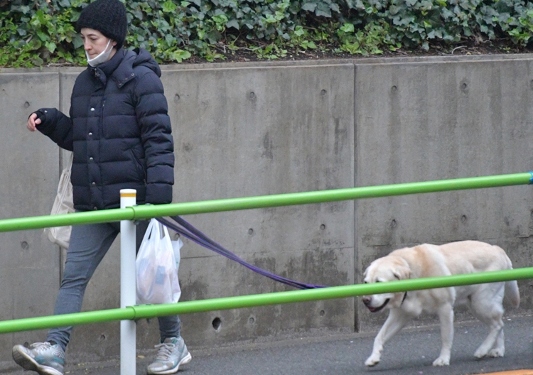 愛犬との散歩する滝川クリステル