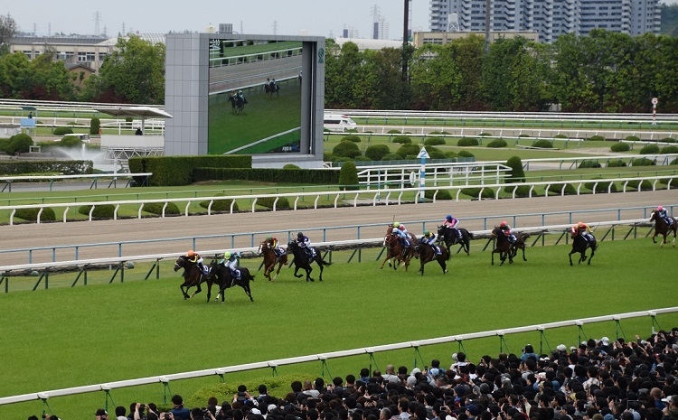 2019年天皇賞・春のゴール前