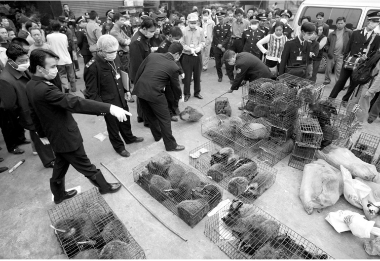 中国やアフリカ、中東などの市場では、野生動物が食品や家畜の餌として取引される。写真は中国・広州市の野生動物市場（写真／共同通信社）