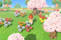 『あつ森』人気のヒミツとは！？（C）2020 Nintendo