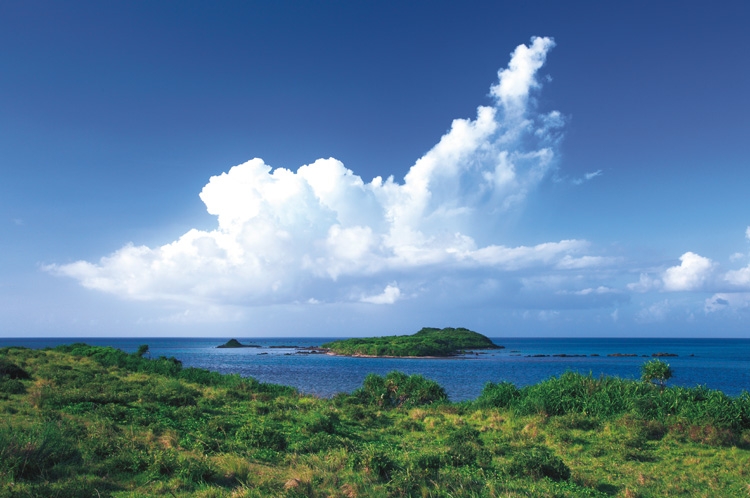 沖縄のウ離島は5億円で購入可能（写真／AFLO）