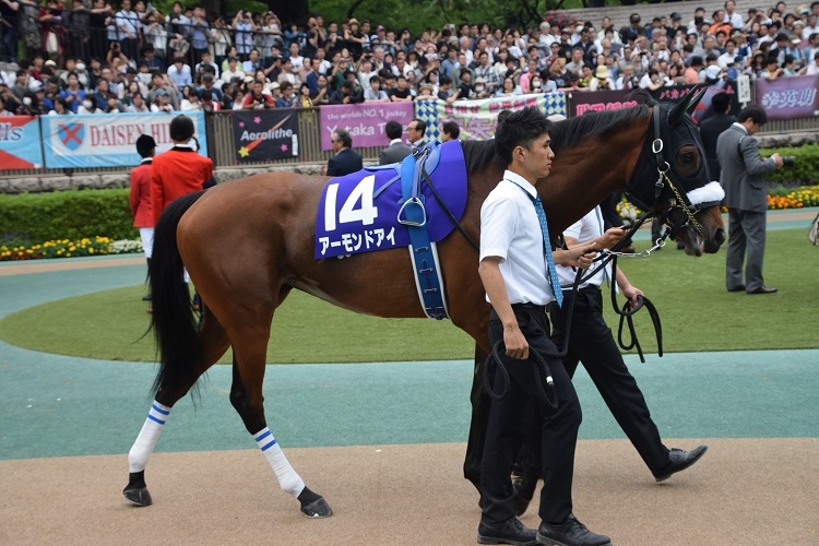 アーモンドアイ（2019年の安田記念出走時のパドック）