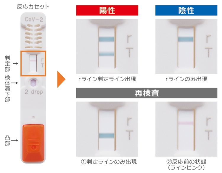 ５月13日に承認された富士レビオの『抗原検査キット』（写真／富士レビオ提供）