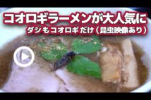 日本最大の食用コオロギ生産拠点を訪問 食味向上の研究続行中 Newsポストセブン 日本最大の食用コオロギ生産拠点を訪問 食味向上の研究続行中 Newsポストセブン