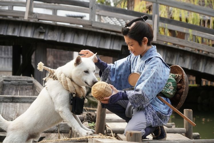 重要なキャストだった犬の翁丸