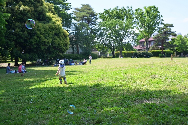 子供が遊ぶ緑の公園で高齢の母は何を思ったか