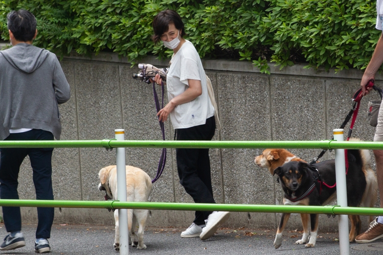 愛犬を連れて散歩する滝クリ