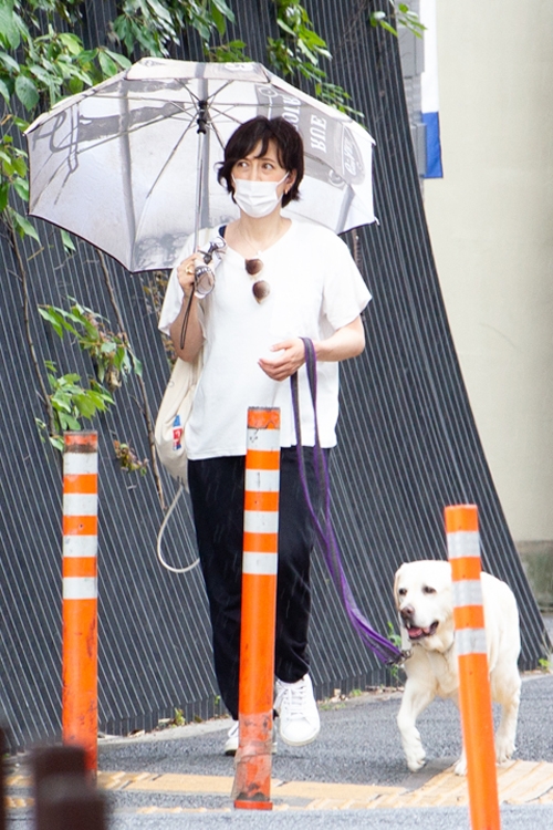 傘を差して犬の散歩をする滝クリ