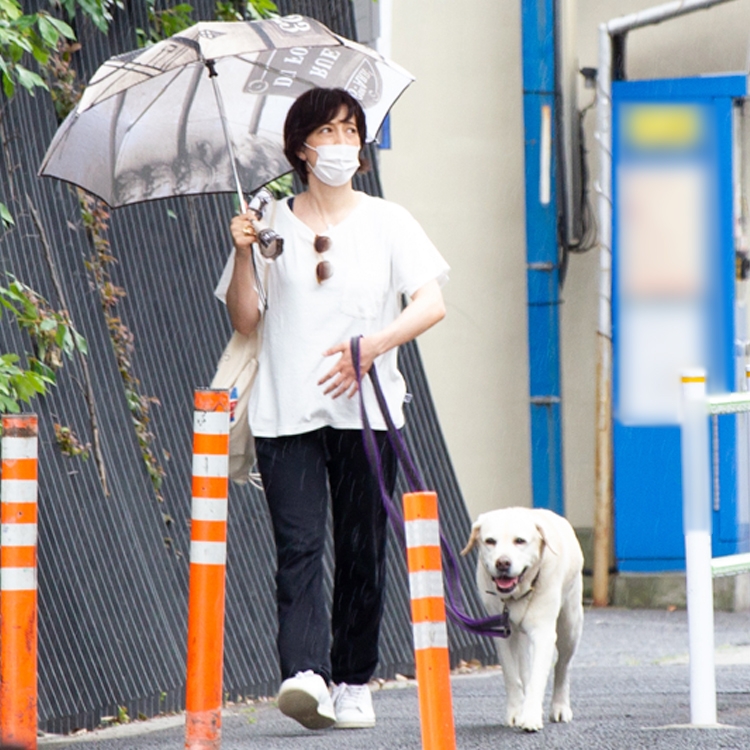 この日は愛犬1匹と