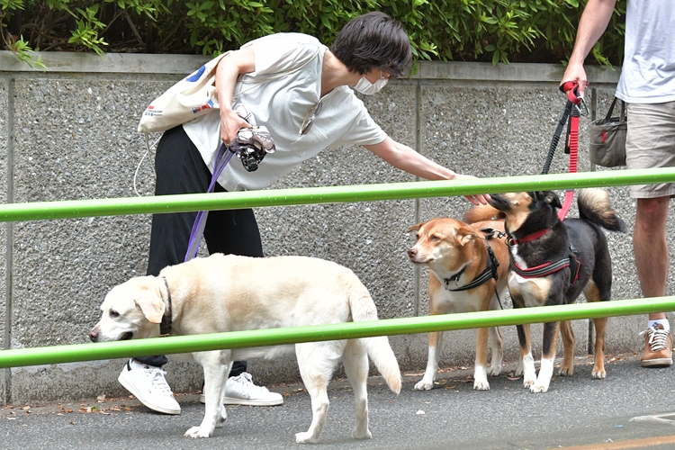 愛犬を撫でる滝クリ