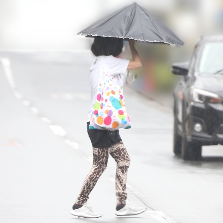傘をすぼめながら道を渡っていく