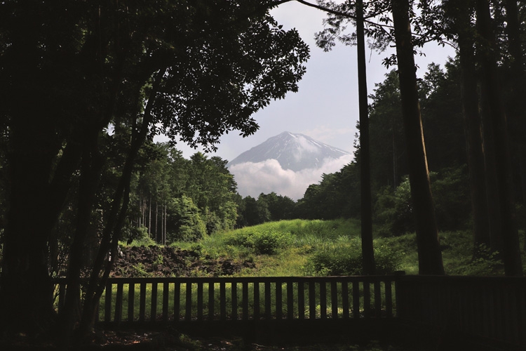 富士山を正面に望む