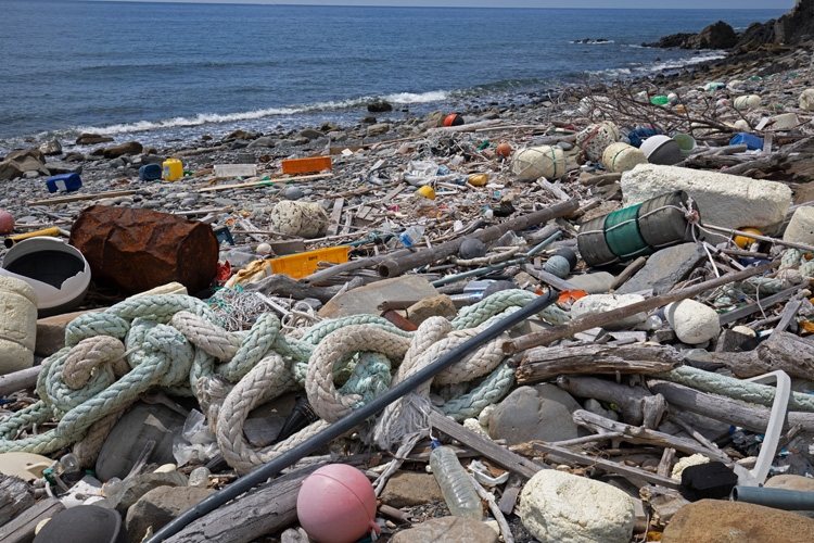 ゴミが漂着した海岸