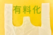 衛生面も気になる? レジ袋有料化でもエコバッグを拒否する人たち