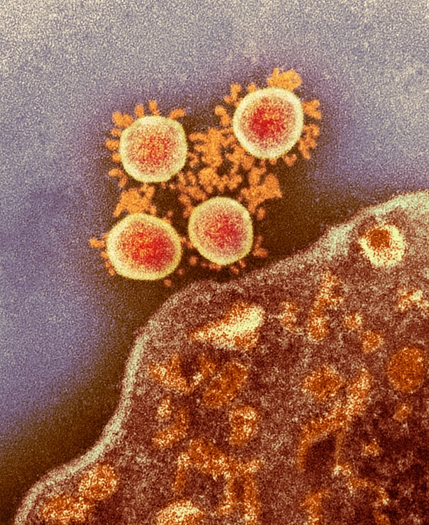 コロナウイルスに新たな見解が発表された（写真／AFLO）