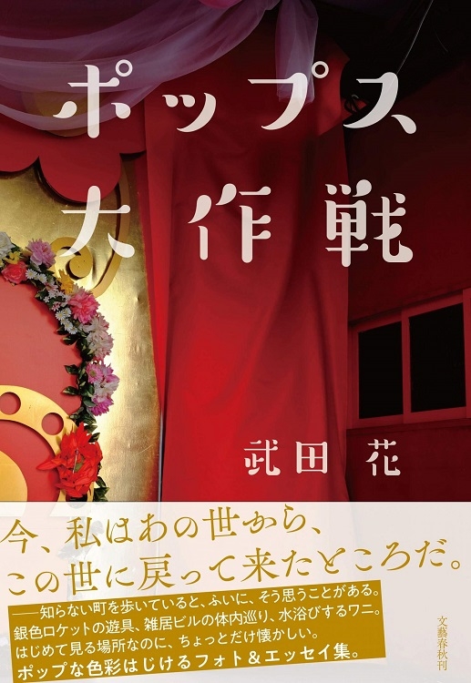 武田花氏著の『ポップス大作戦』