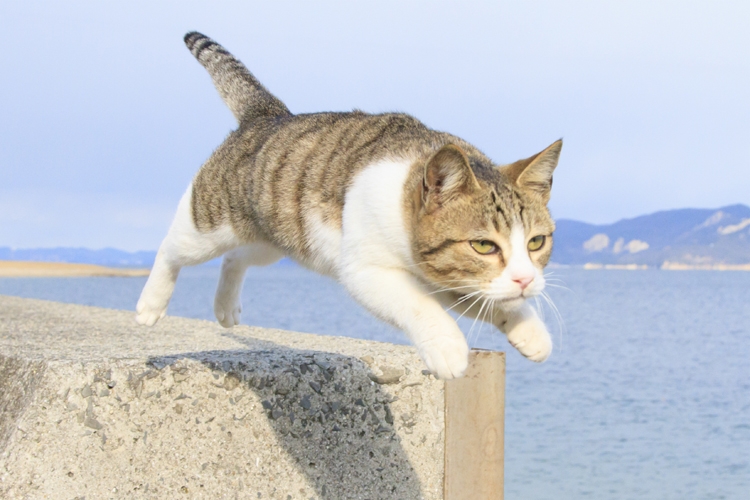 そして、飛ぶ！（撮影／五十嵐健太）