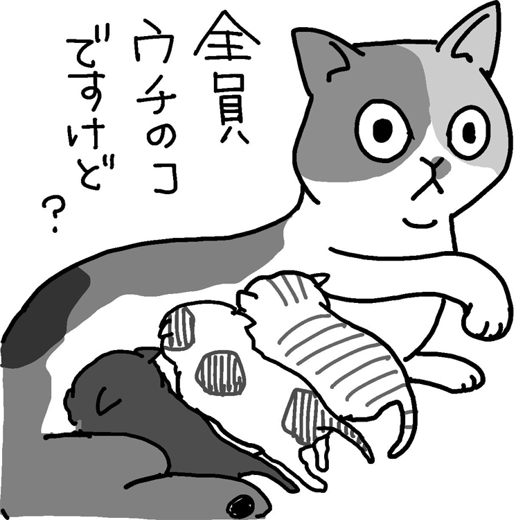 猫が色柄の違う子を一度に産むのは、違うオスと交尾しているから？（イラスト／尾代ゆうこ）