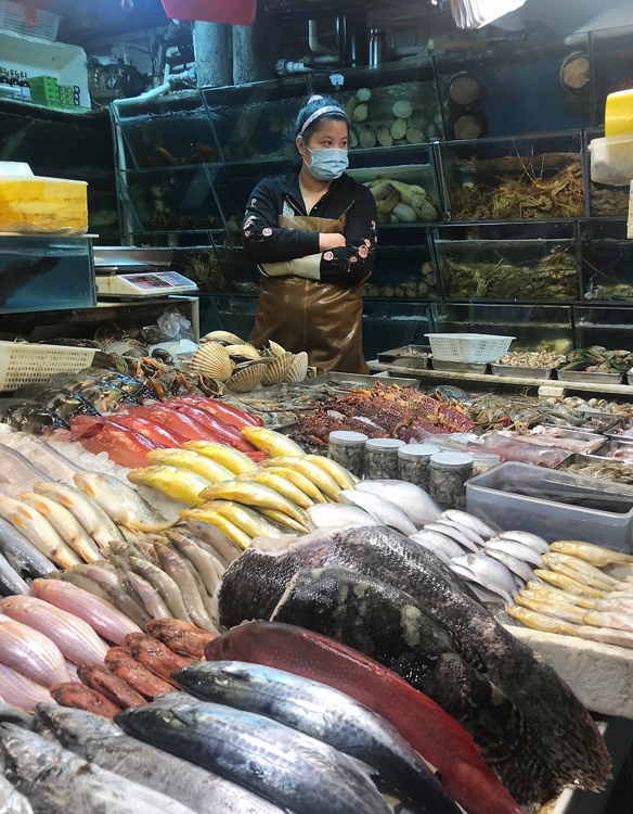 中国・北京市の魚市場。食のターミナルでもある市場での感染に恐怖は全世界に広まった（共同通信社）