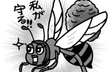 刺すのは巣と子供たちを守るため