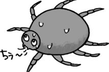危険な病気を媒介するマダニだが